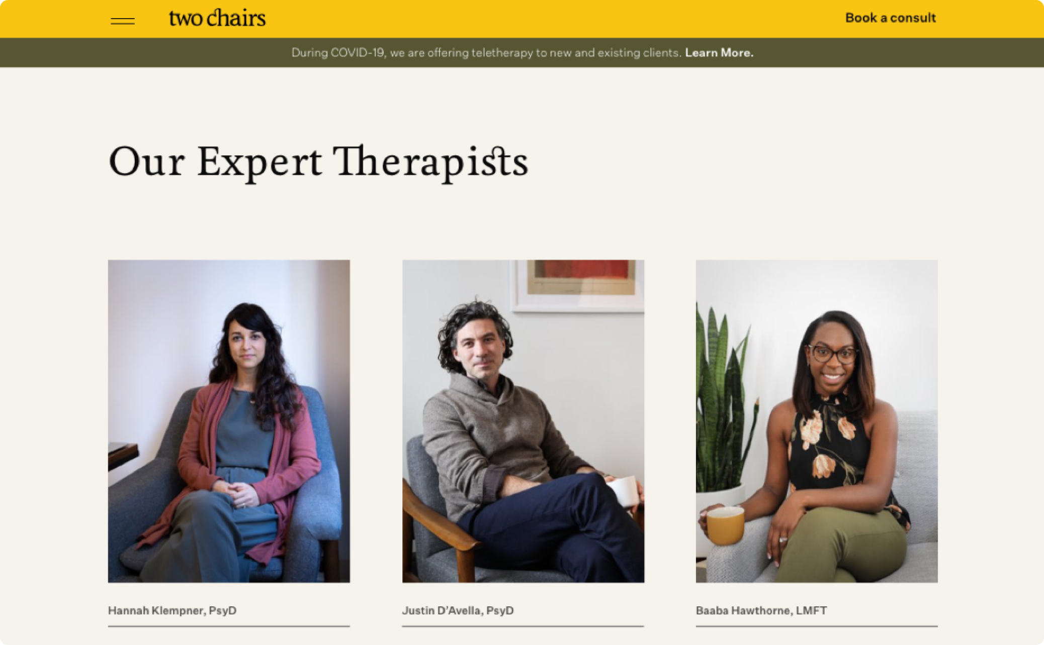 Screenshot of a few of Two Chairs expert therapists.
